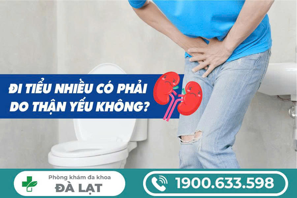 Hình ảnh minh họa